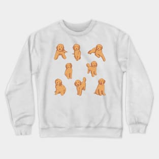 Cute Golden doodle pack Crewneck Sweatshirt